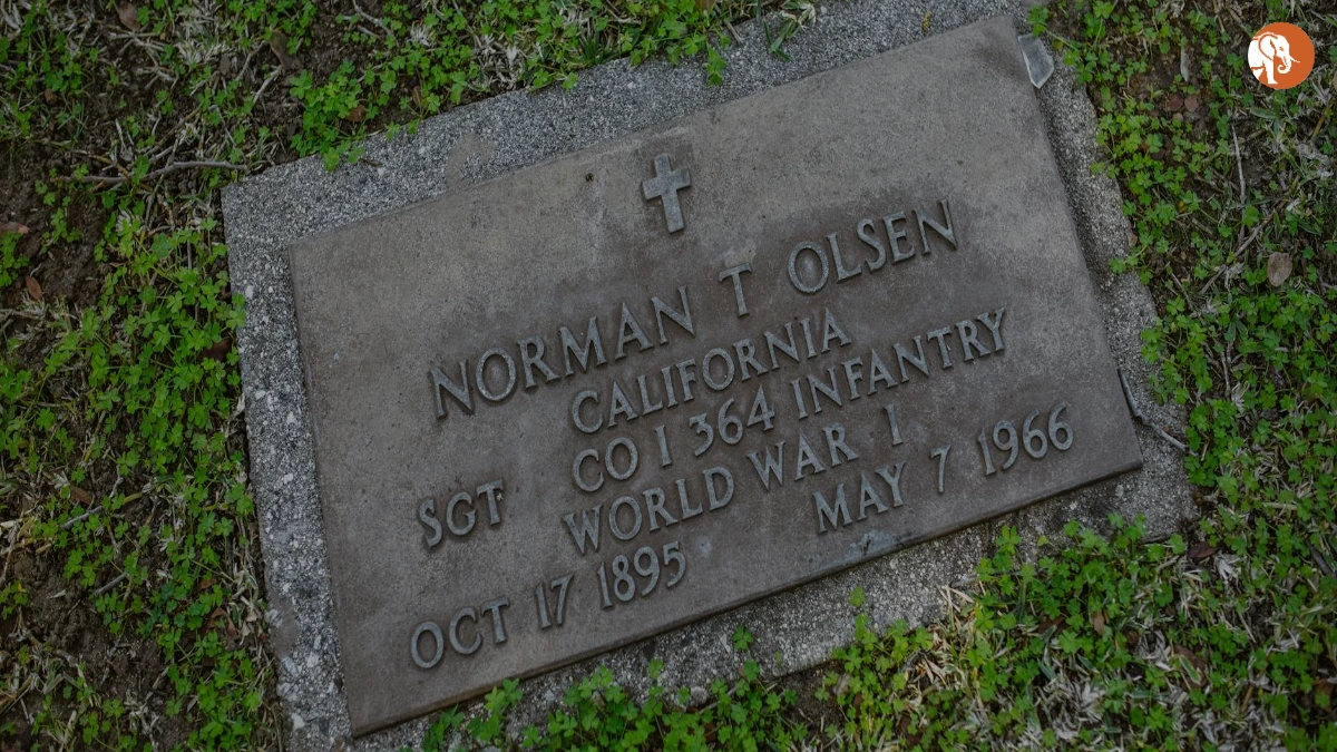 अमृता राव की बर्थडे कहानी: प्रेरणादायक यात्रा