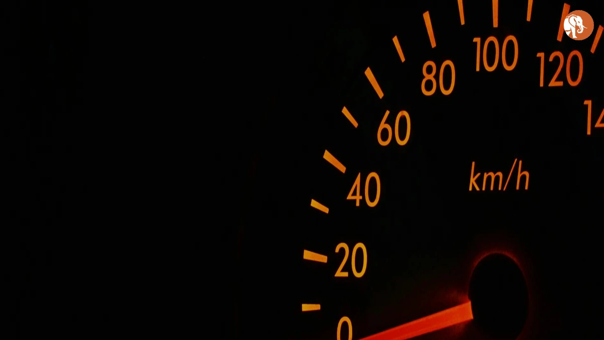 अन्नू कपूर का जन्मदिन: भारतीय मनोरंजन के सितारे