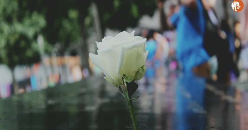 शक्ति सिंह का जन्मदिन: एक प्रेरणादायक यात्रा